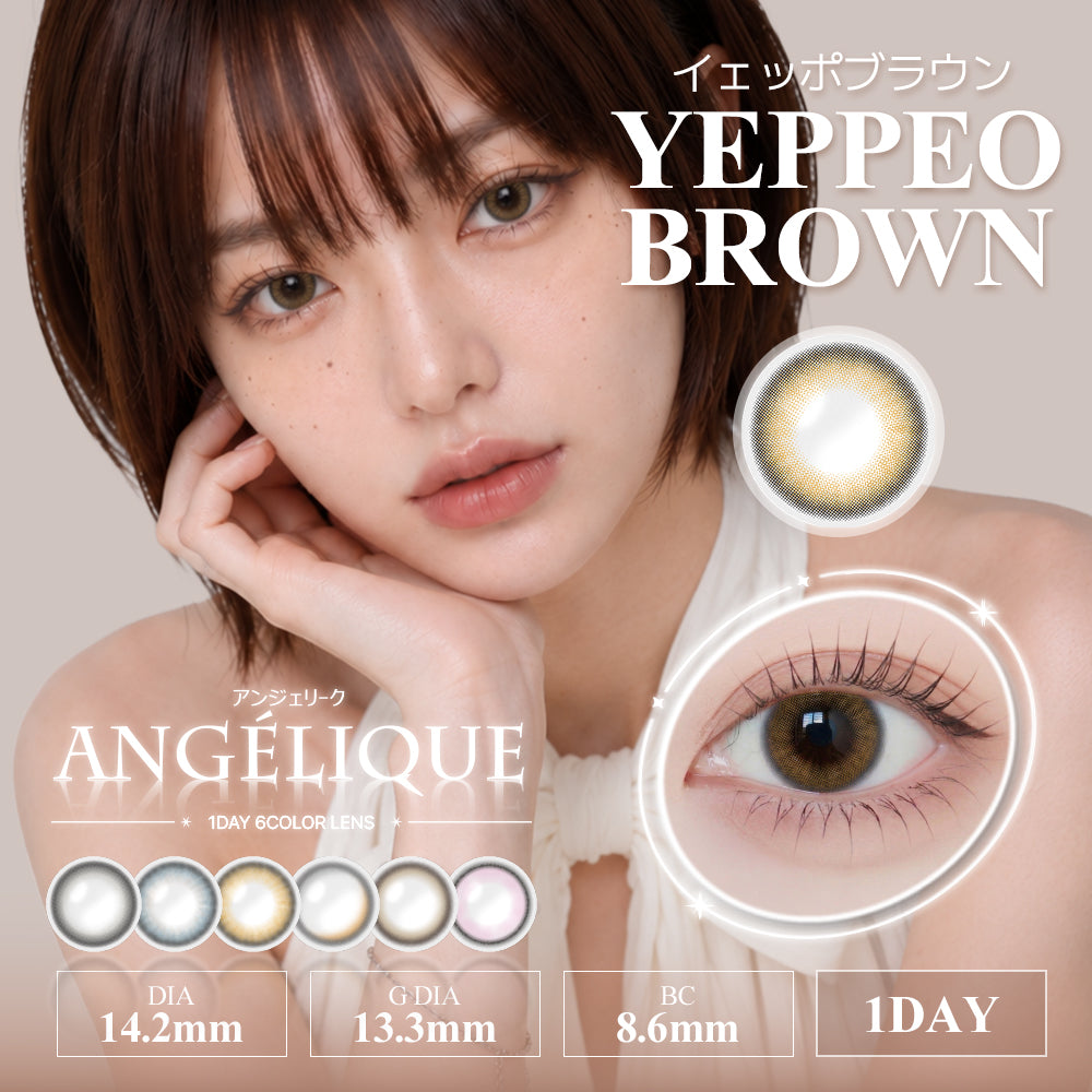 クリアシーン イェッポブラウン［ANGÉLIQUE］1DAY