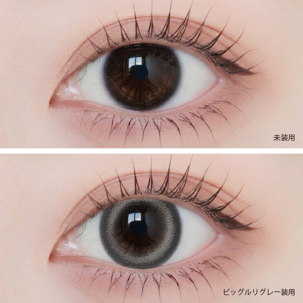 クリアシーン ビッグルリグレー［ANGÉLIQUE］1MONTH