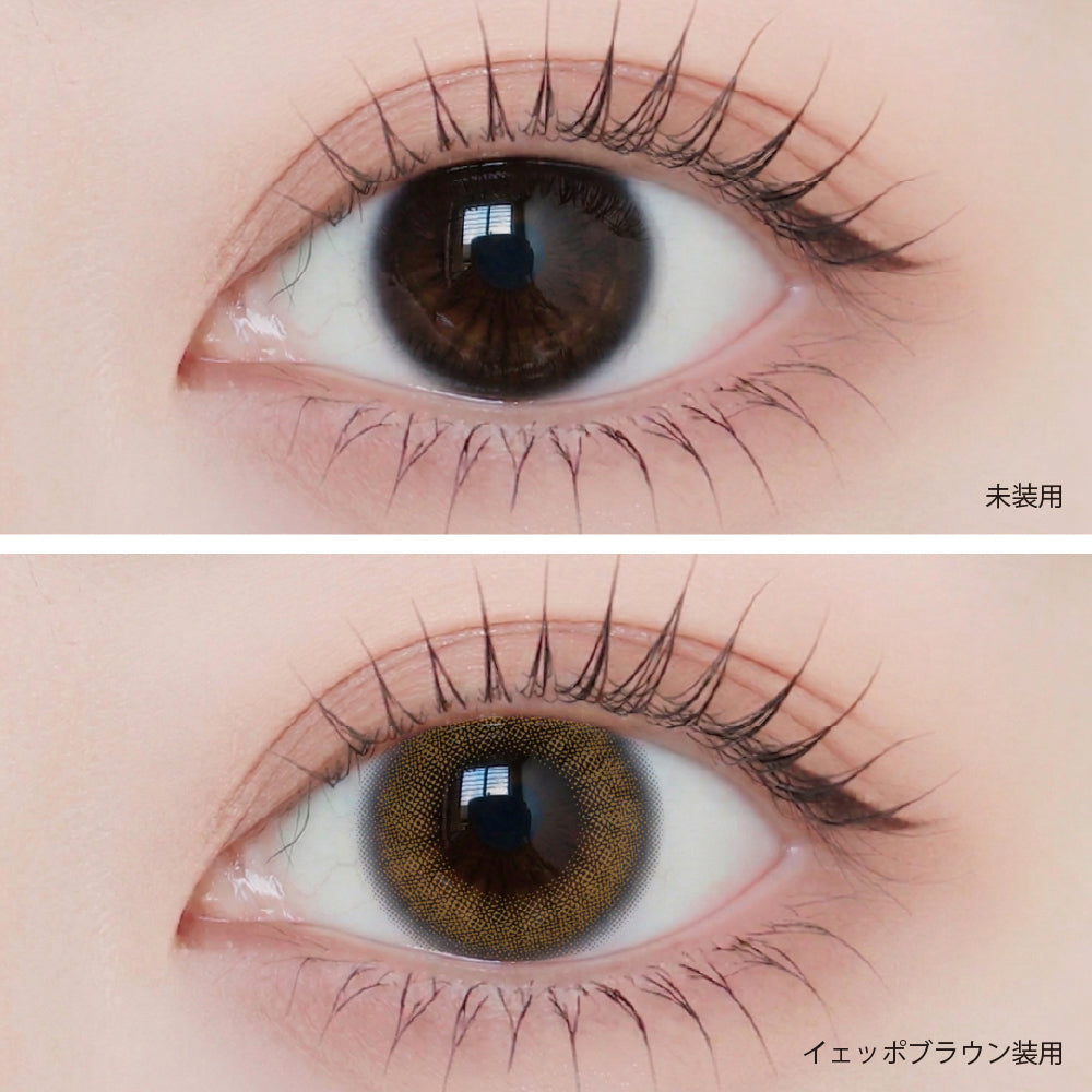 クリアシーン イェッポブラウン［ANGÉLIQUE］1MONTH