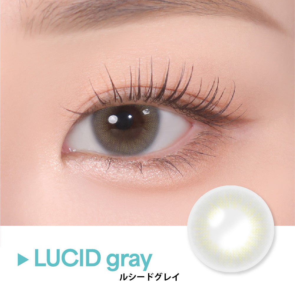 LUCID グレー［COLOR PICK］1MONTH
