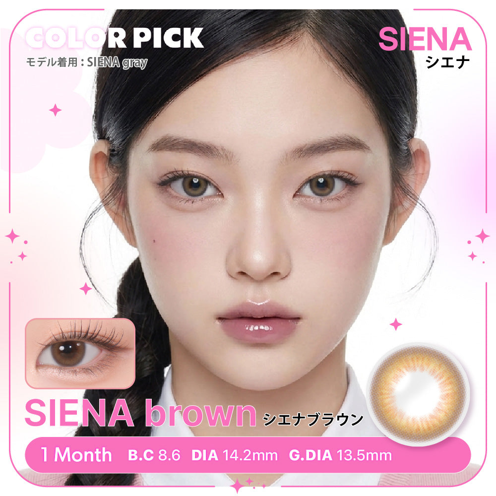 SIENA ブラウン［COLOR PICK］1MONTH