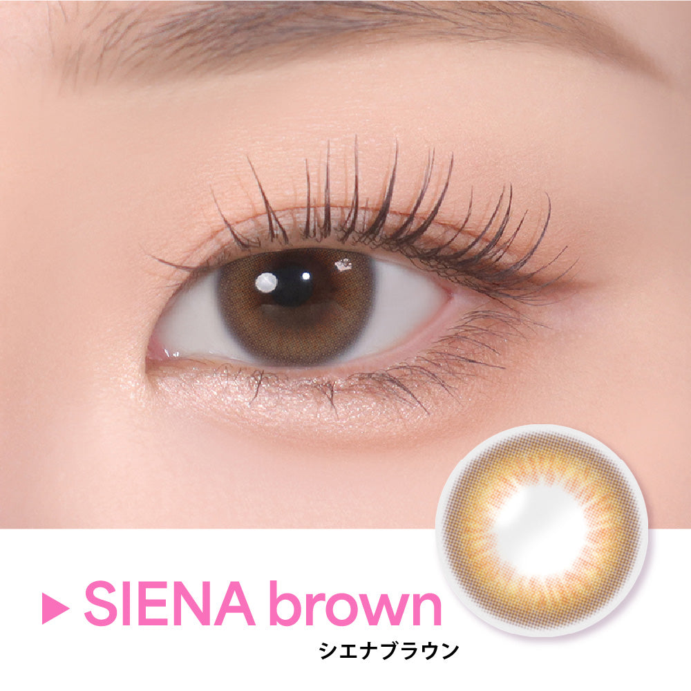 SIENA ブラウン［COLOR PICK］1MONTH