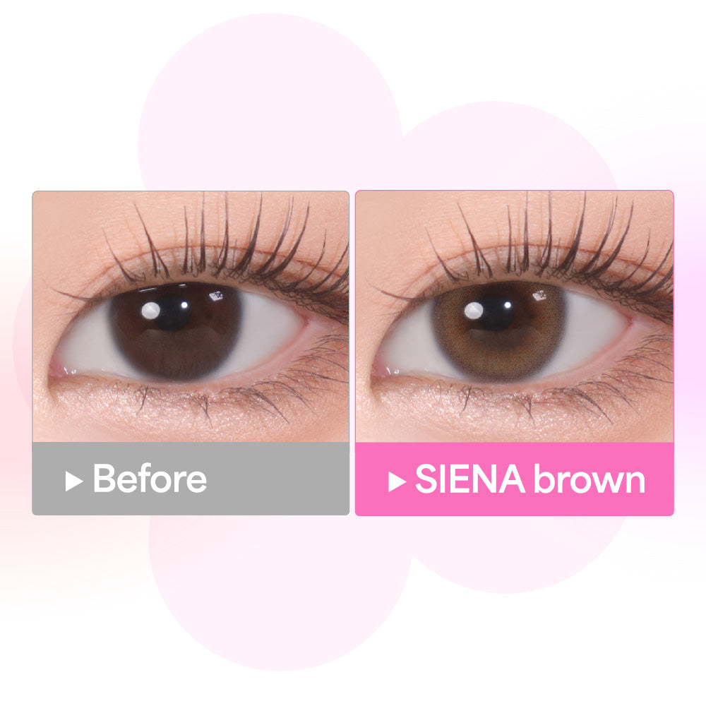 SIENA ブラウン［COLOR PICK］1MONTH