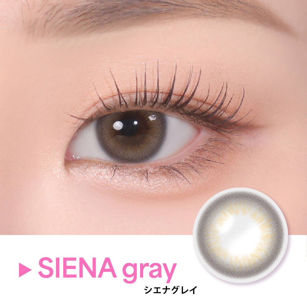 SIENA グレー［COLOR PICK］1MONTH