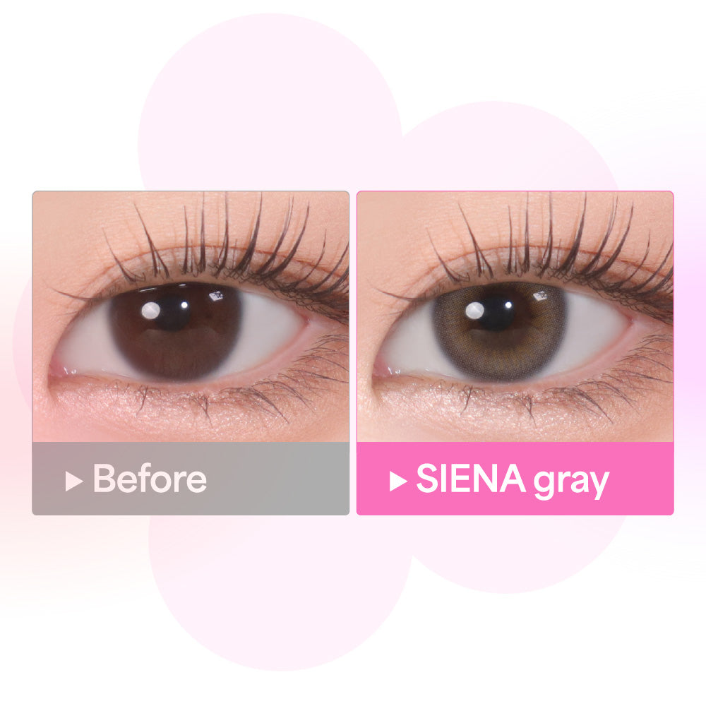 SIENA グレー［COLOR PICK］1MONTH